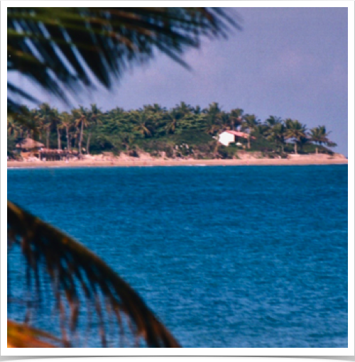 Increased development of the city of Cabarete has resulted in increased urban and sediment runoffs into Cabarete Bay, Increased development of the city of Cabarete has resulted in increased urban and sediment runoffs into Cabarete Bay,